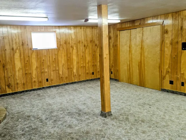 Finished basement featuring wood walls and carpet flooring