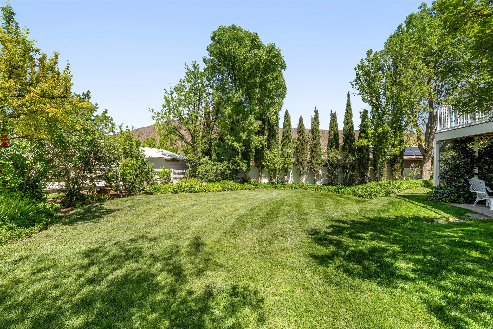 View of grassy yard