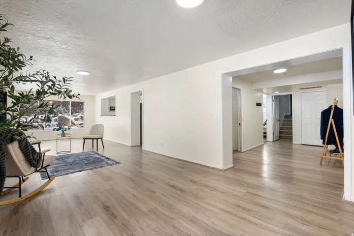 Basement Living Room