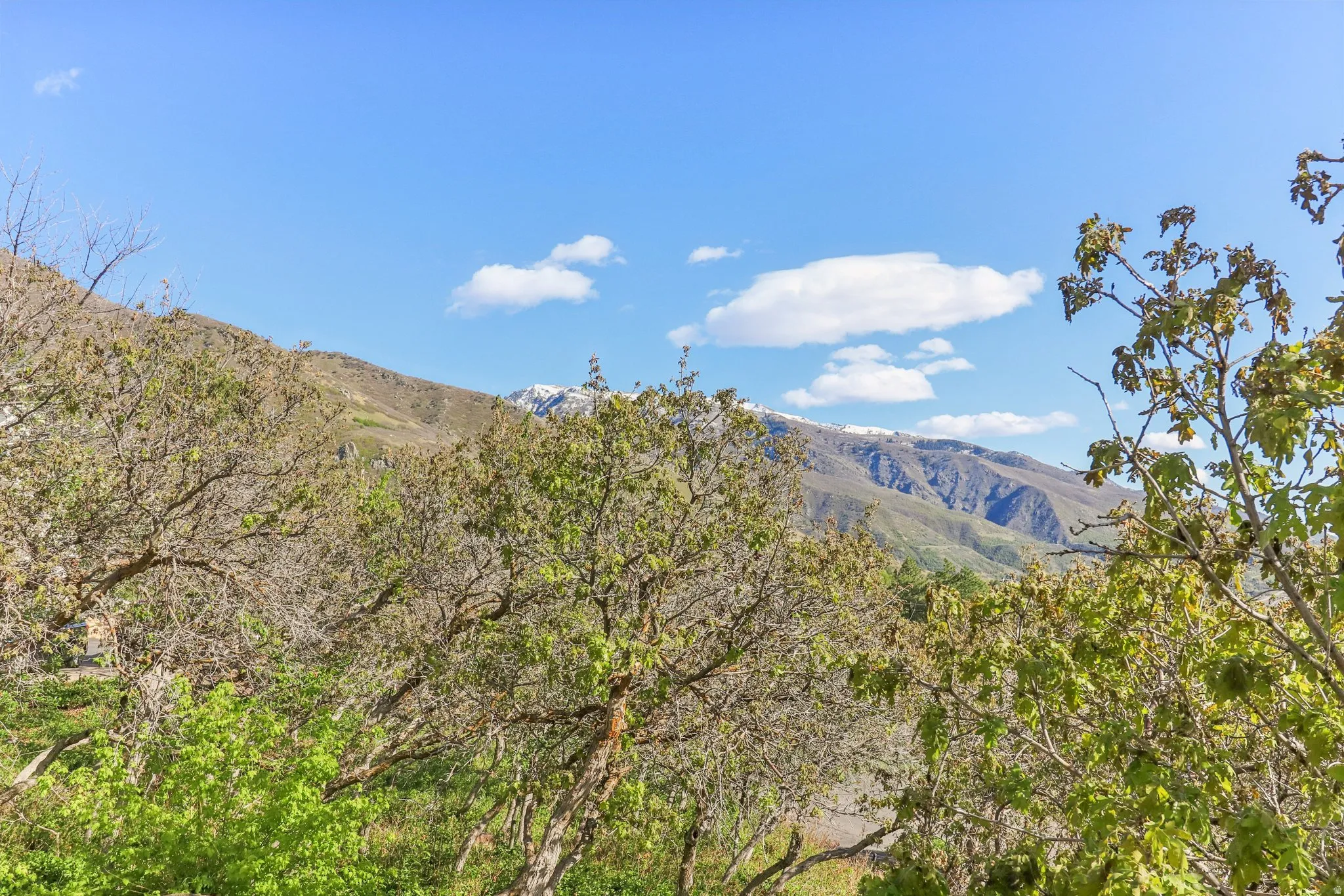 View of mountain background