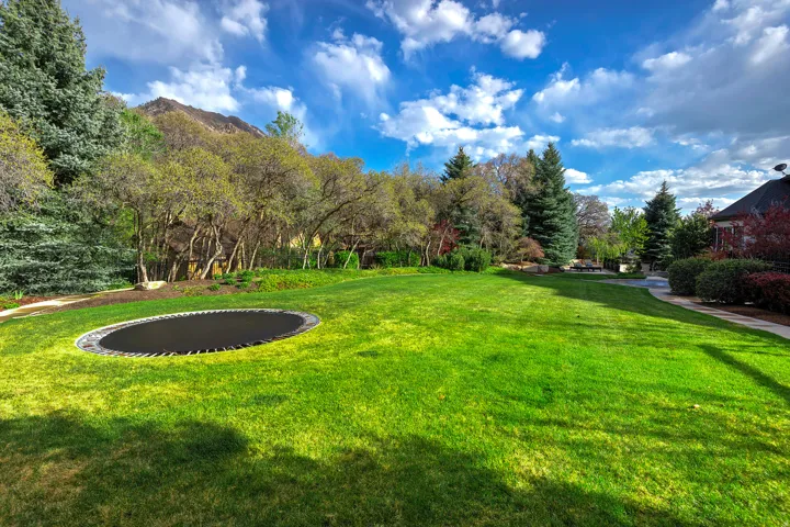 View of green lawn with a trampoline and view of scattered trees