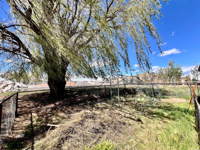 View of yard with an outdoor structure