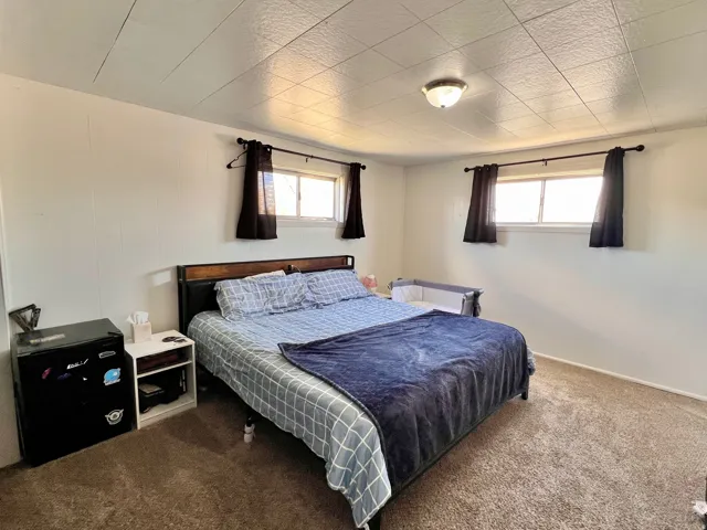 Carpeted bedroom featuring multiple windows