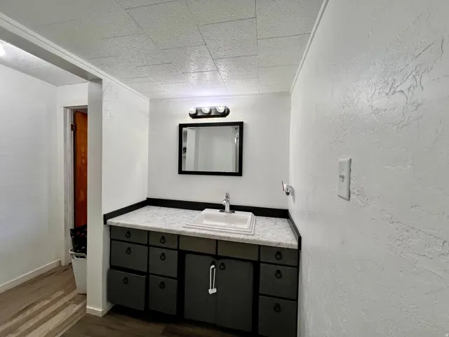 Bathroom with a textured wall, vanity, and dark wood-type flooring