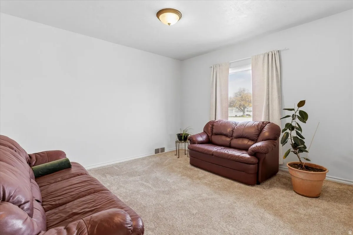 Living area featuring carpet floors and baseboards