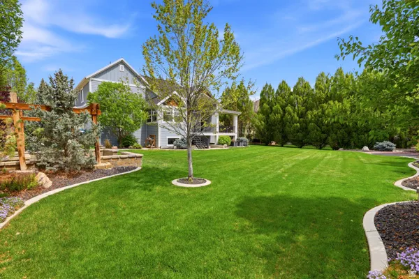 View of grassy yard