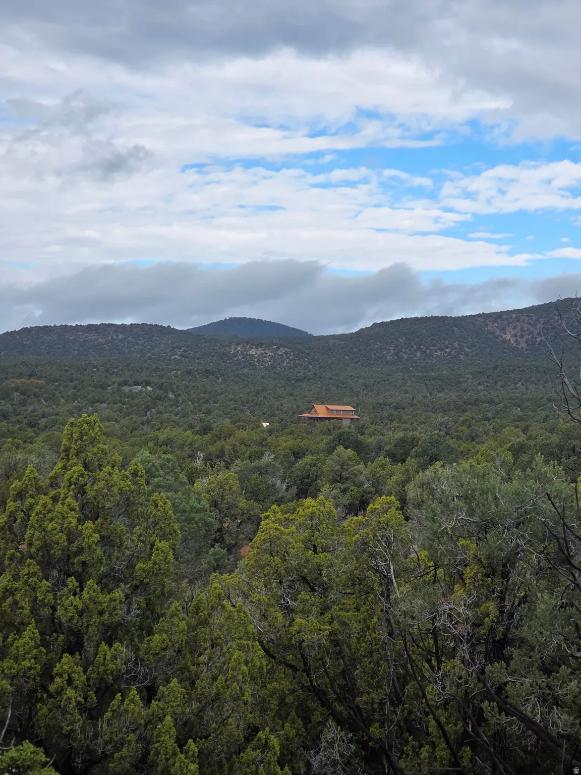 View of mountain backdrop featuring a forest