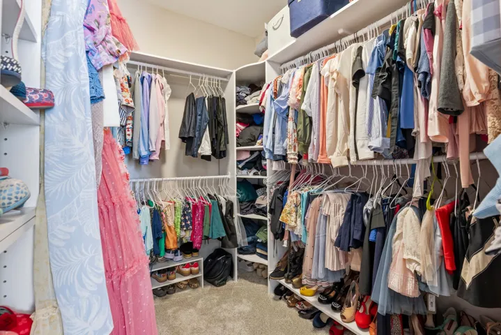 Walk in closet with light colored carpet