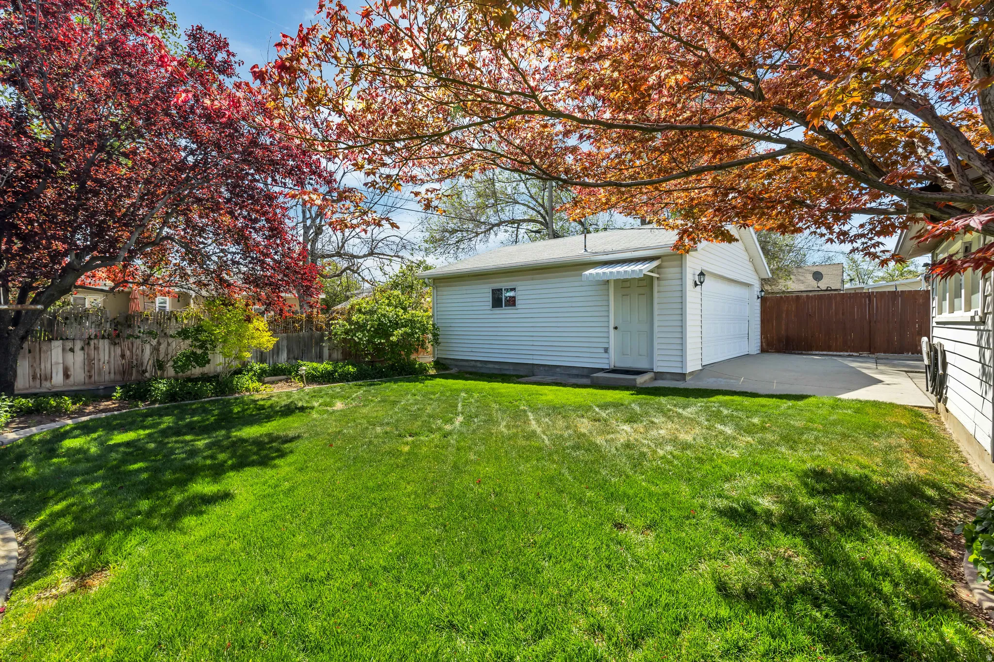 Backyard
