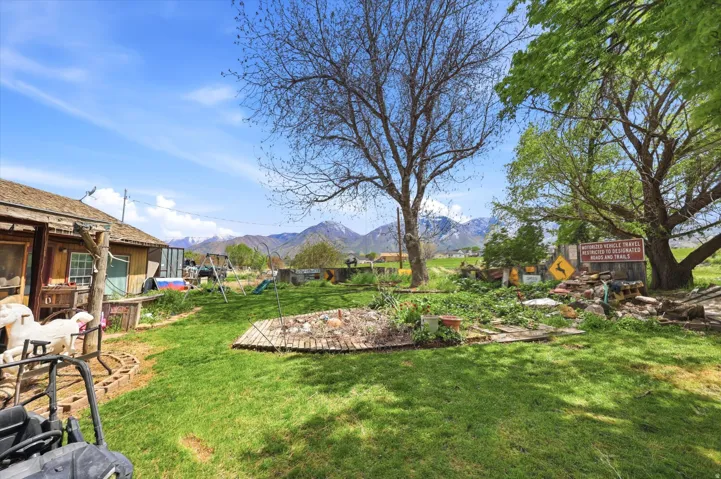 View of grassy yard featuring a mountain view and a patio area