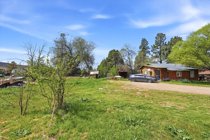 View of grassy yard with an outbuilding