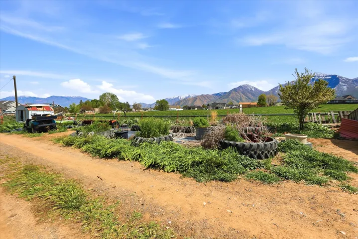 View of mountain background