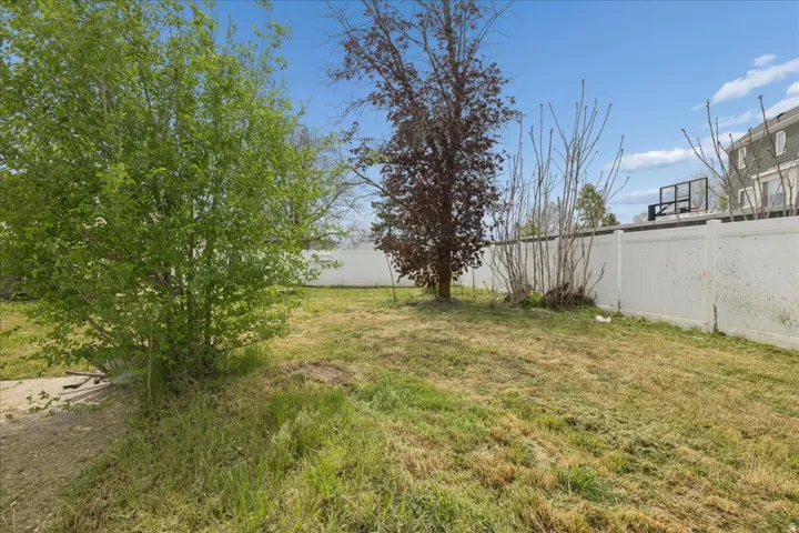 View of fenced backyard