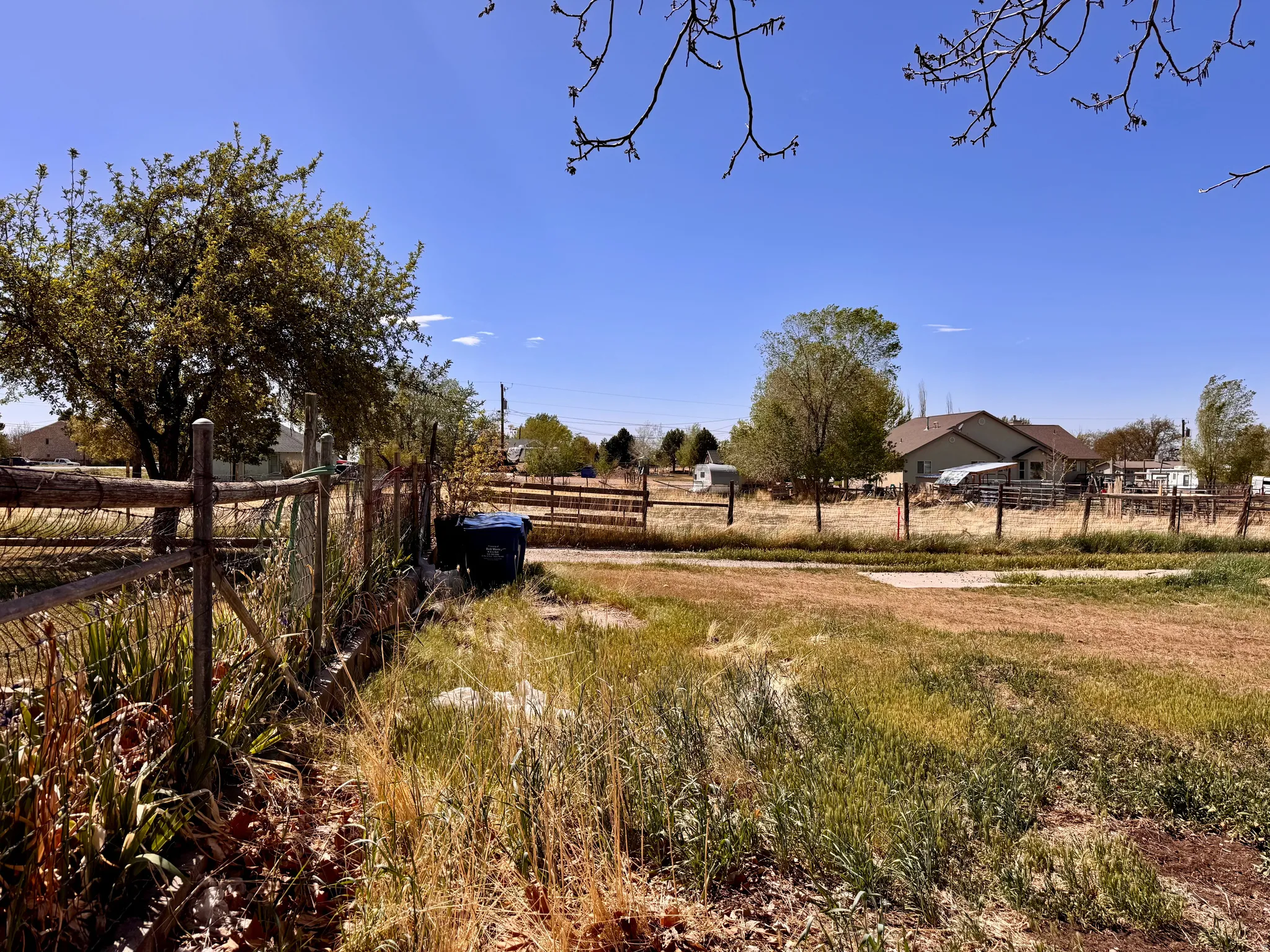 View of yard with a view of rural / pastoral area
