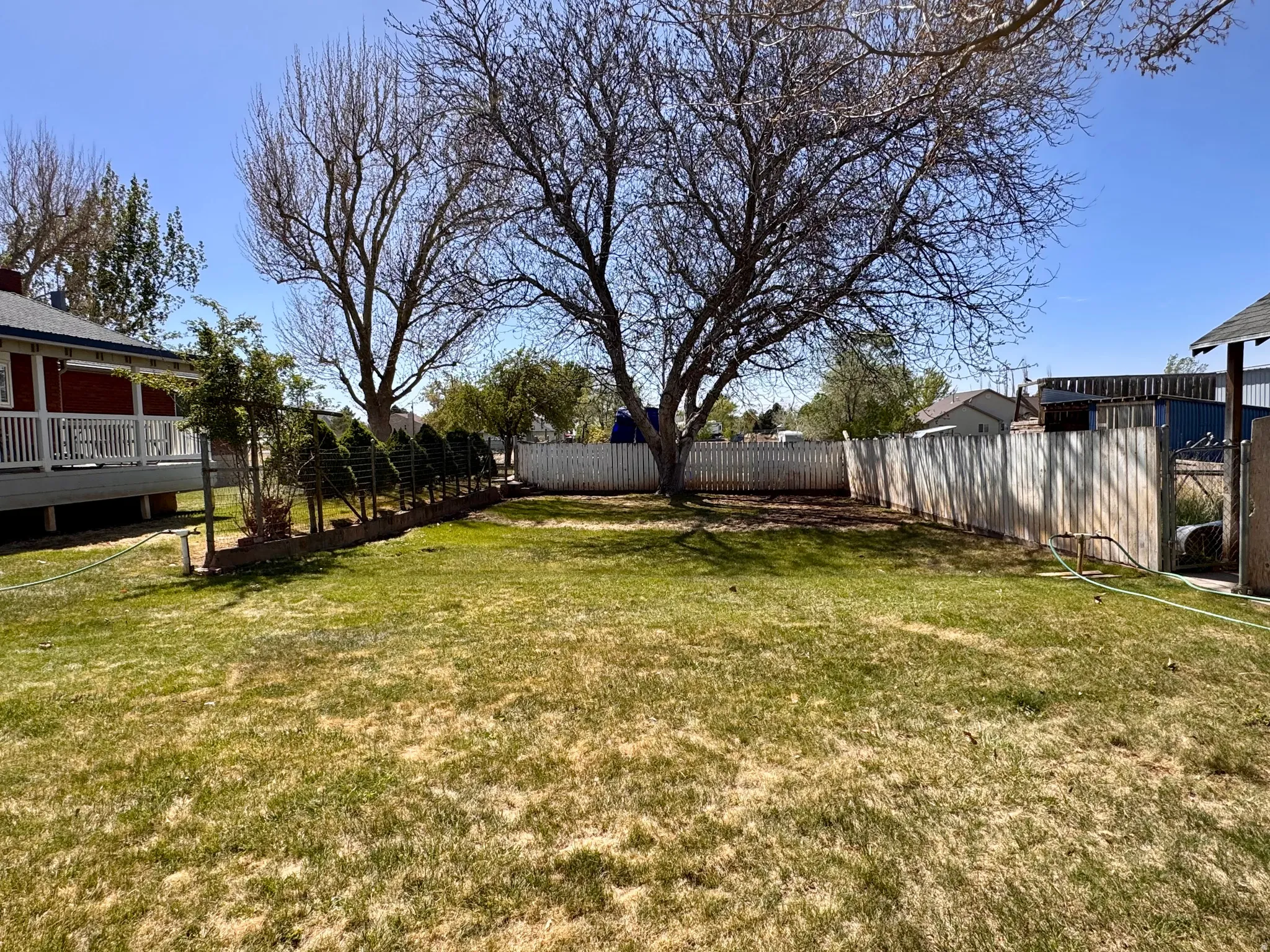 View of fenced backyard