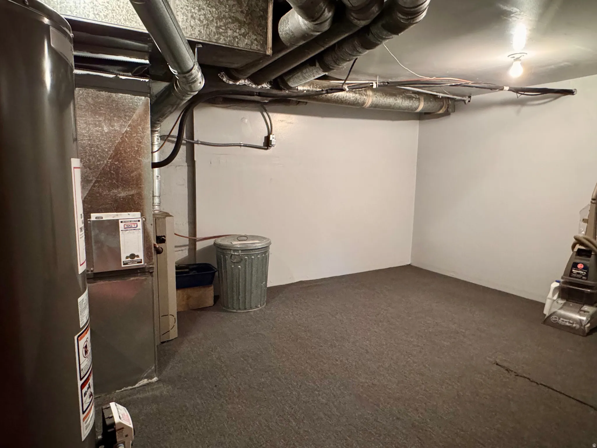 Unfinished below grade area with water heater