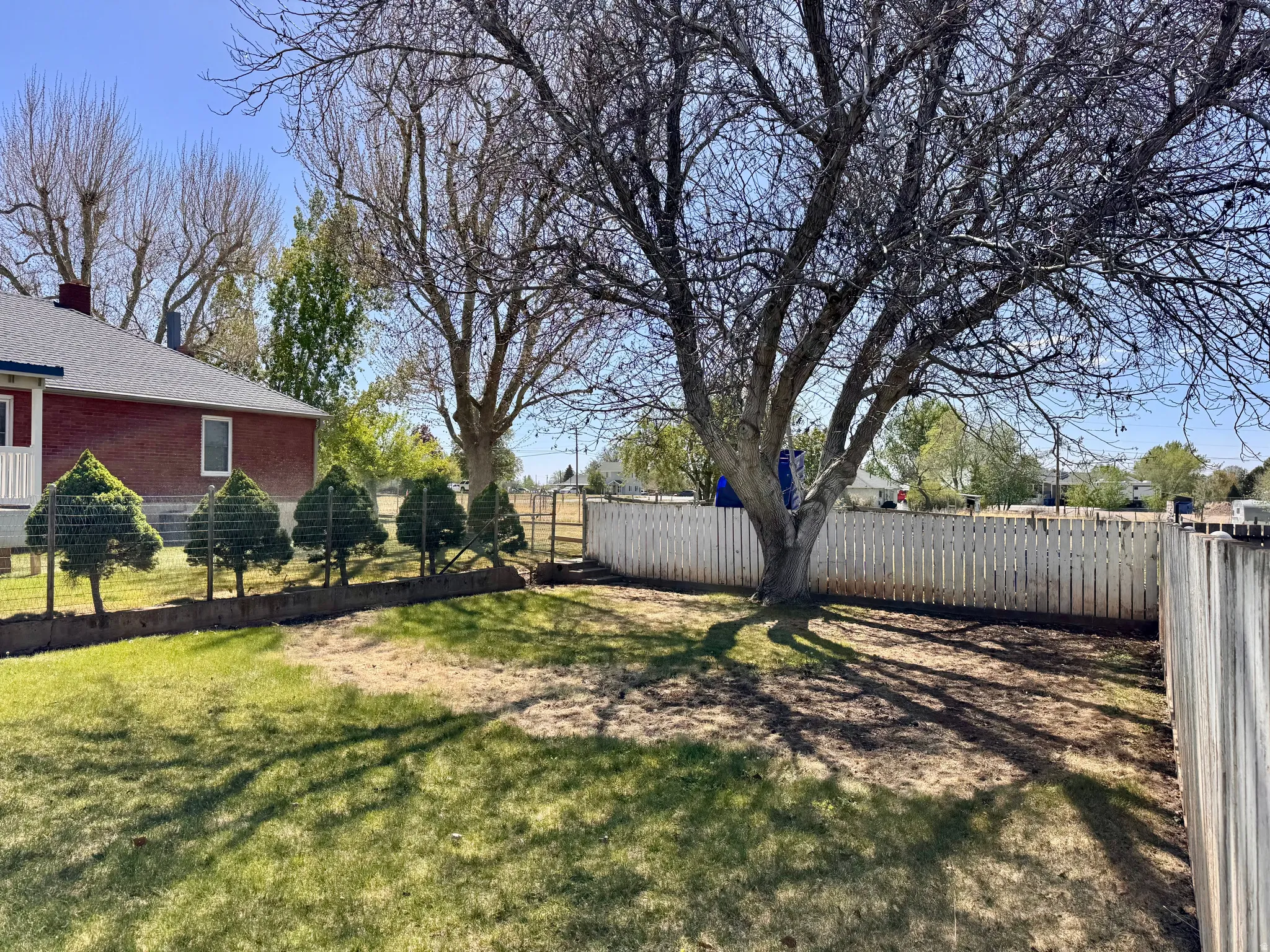 View of fenced backyard