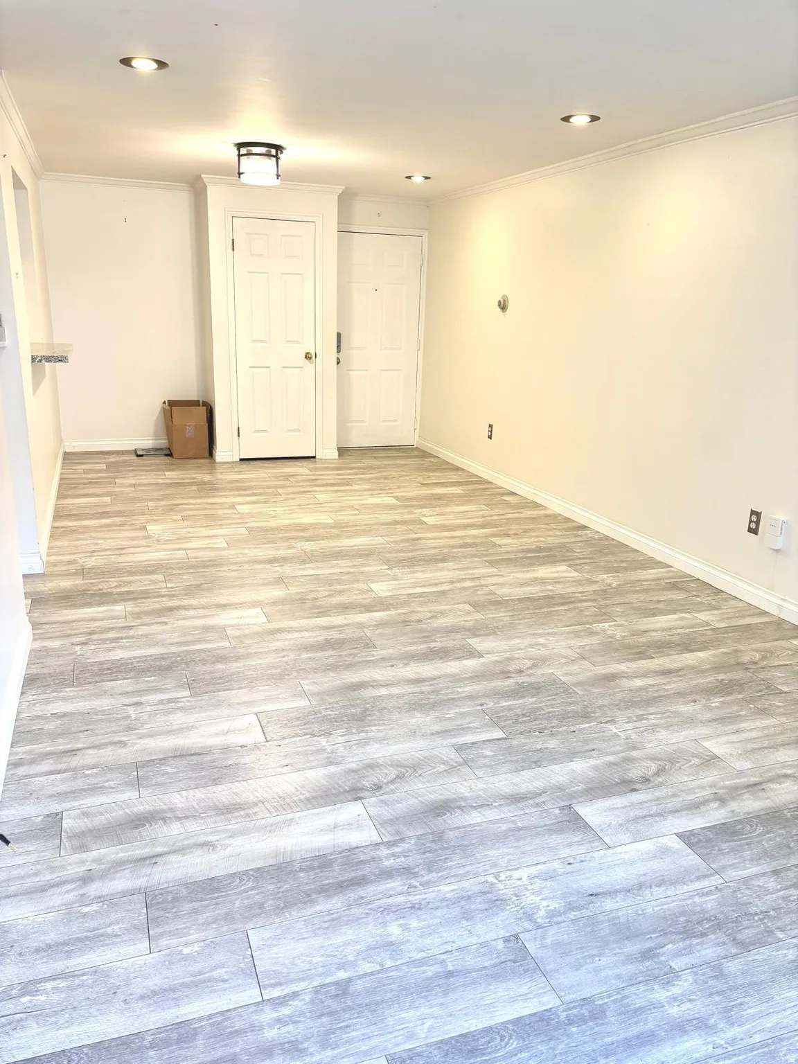 Unfurnished room with ornamental molding and light wood-style floors