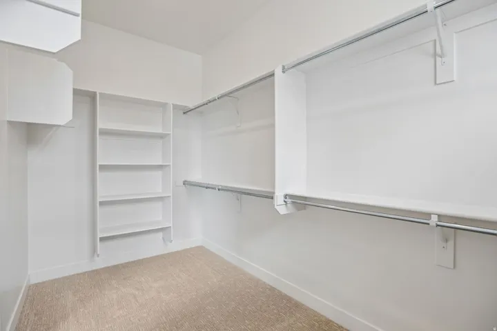 Built-in shelving, white cabinetry, integrated hanging rods, and carpet flooring