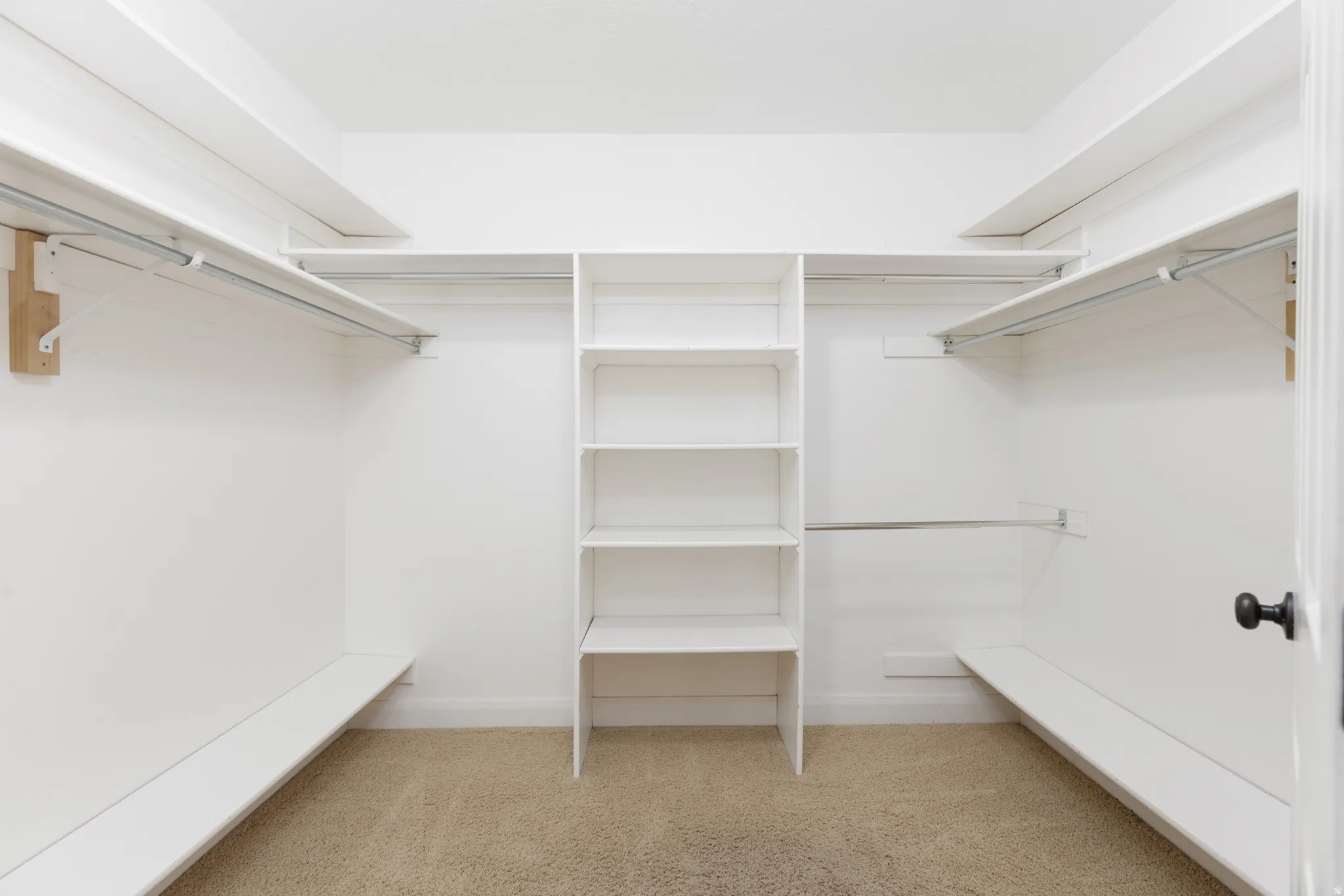 Walk-in closet featuring built-in shelving, white walls, and carpet flooring