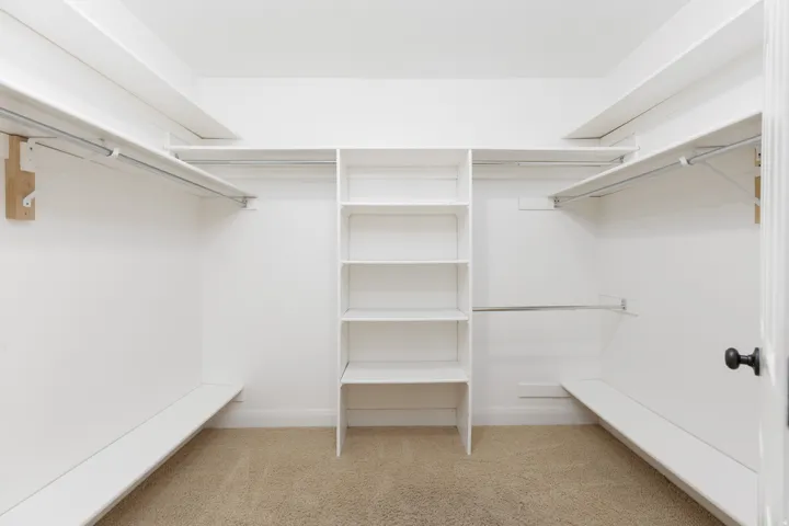Walk-in closet featuring built-in shelving, white walls, and carpet flooring