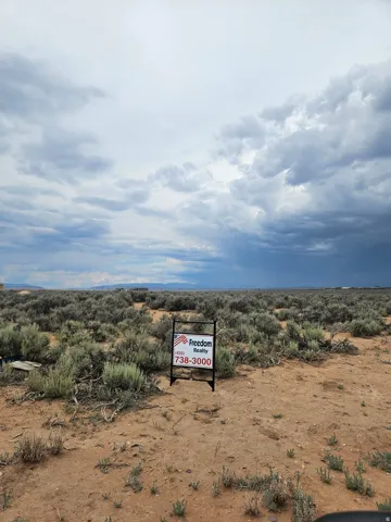 Expansive undeveloped land featuring natural desert vegetation and a distant mountain range under a broad sky