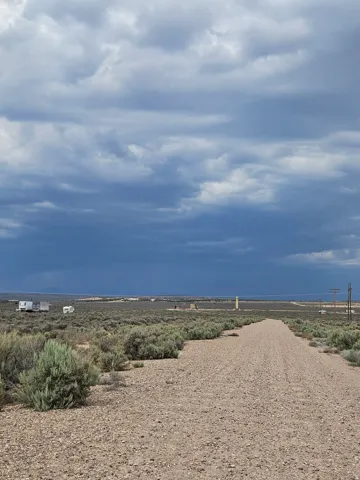 Gravel road surrounded by desert vegetation under a dramatic cloudy sky