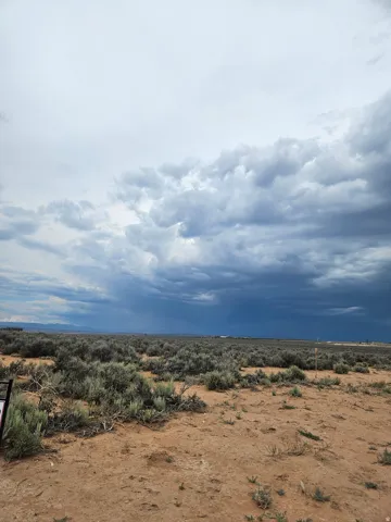 Expansive undeveloped land featuring natural desert vegetation