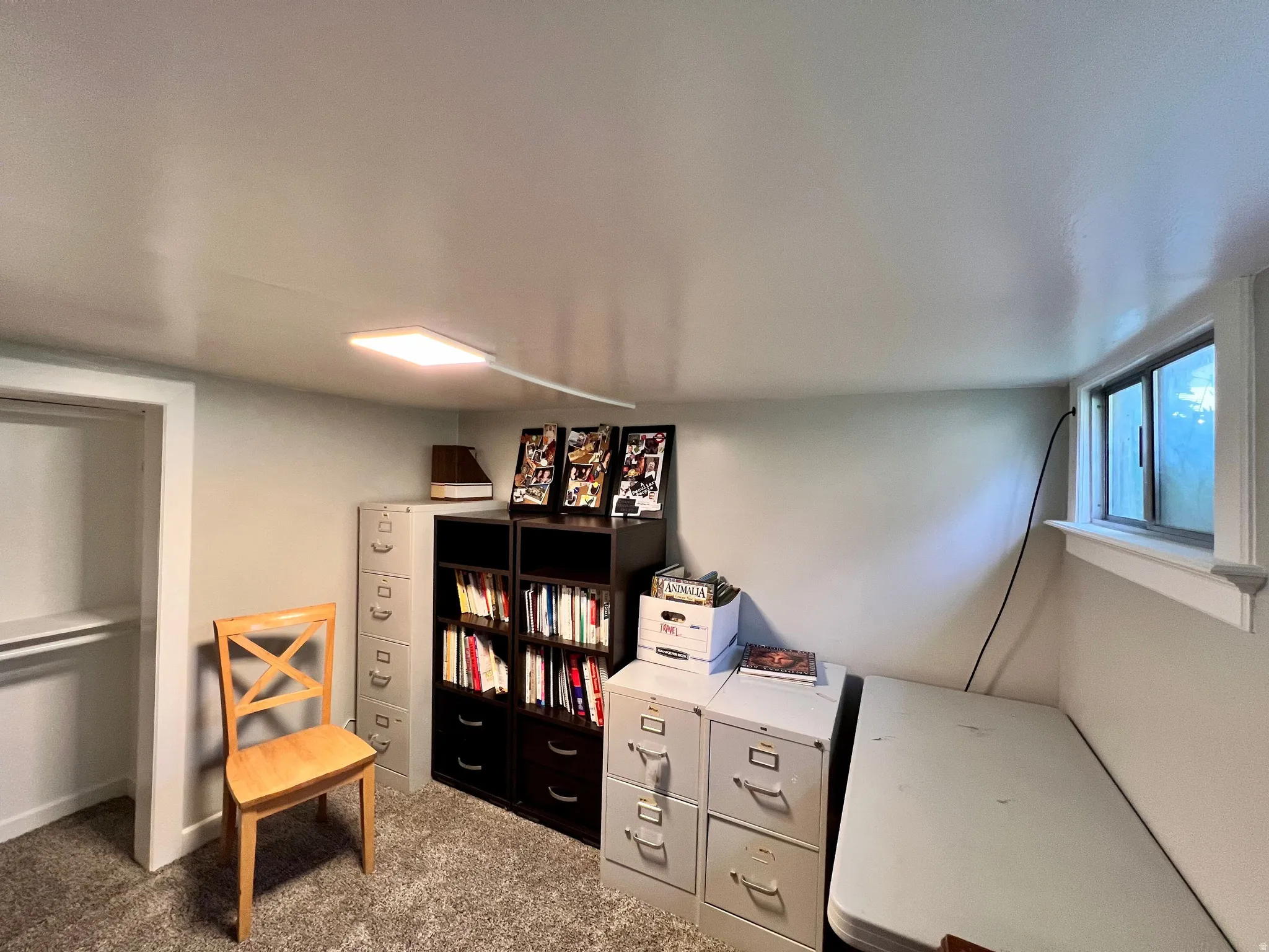 Living area with dark carpet