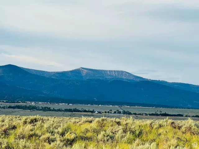 View of Horseshoe Mountain from the Property