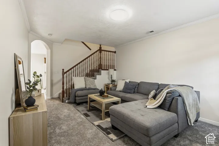 Carpeted living area featuring arched walkways and crown molding
