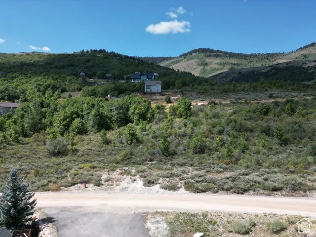 View of mountain background