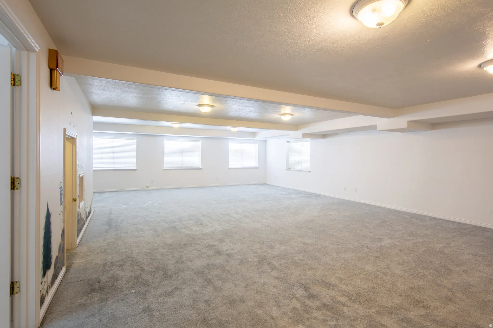 Below grade area featuring carpet flooring and a textured ceiling
