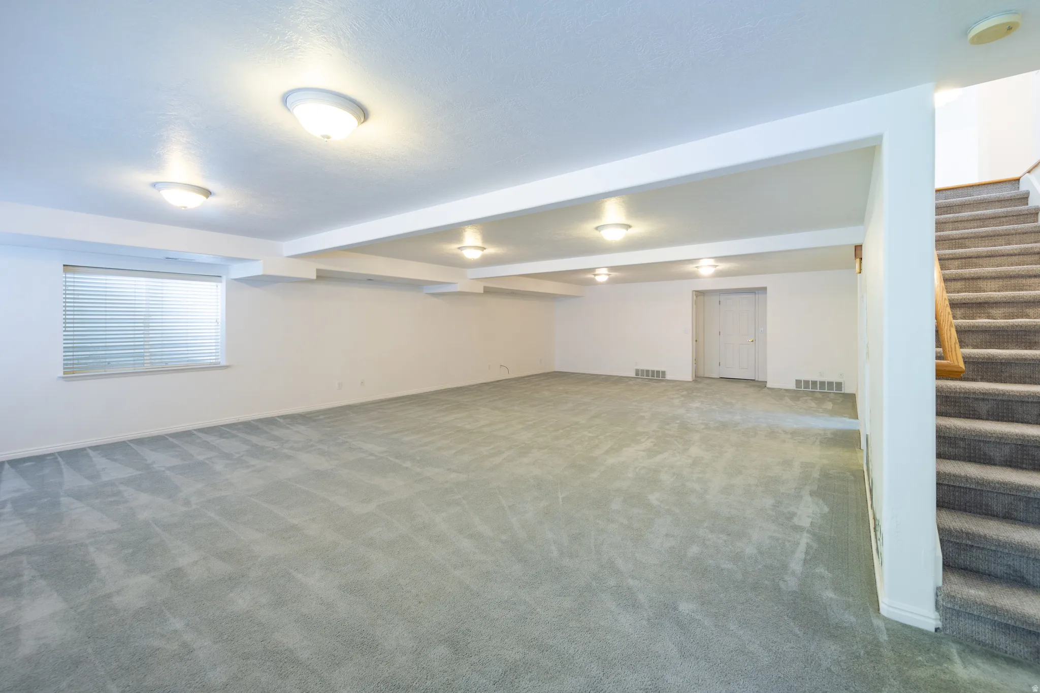 Finished basement with carpet