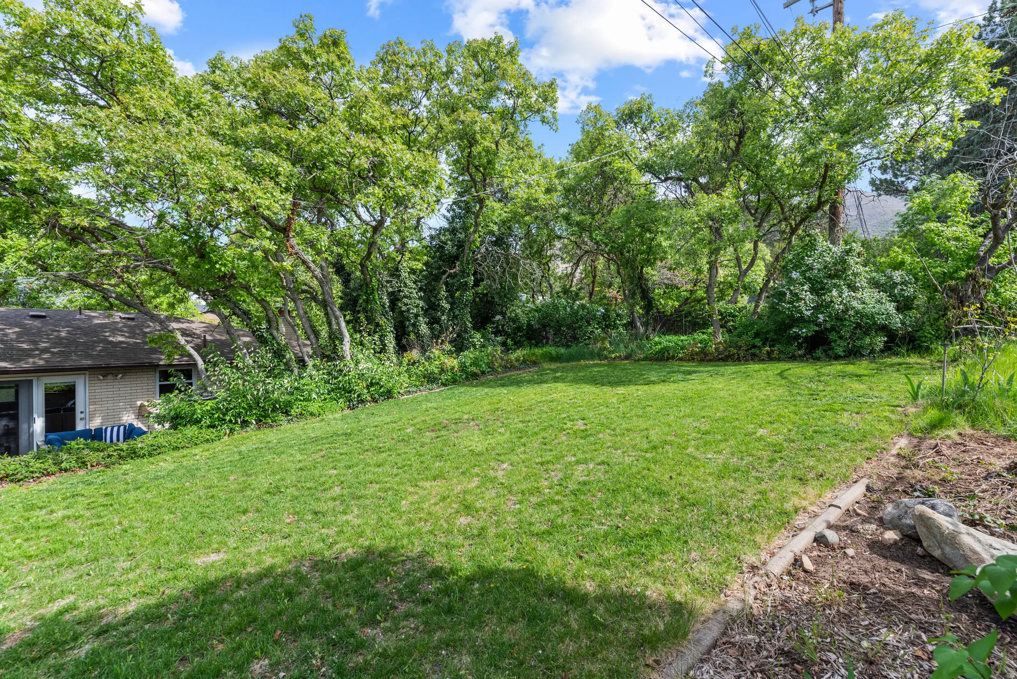 Gorgeous yard