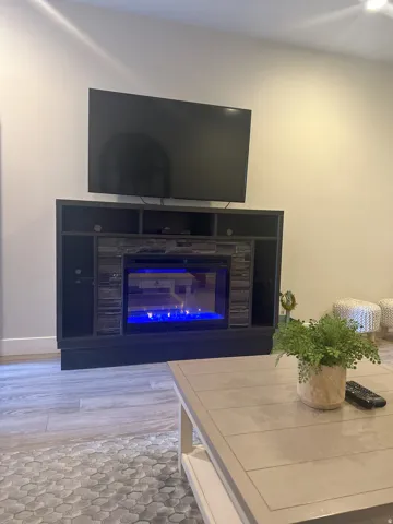 Detailed view of a glass covered fireplace and wood finished floors