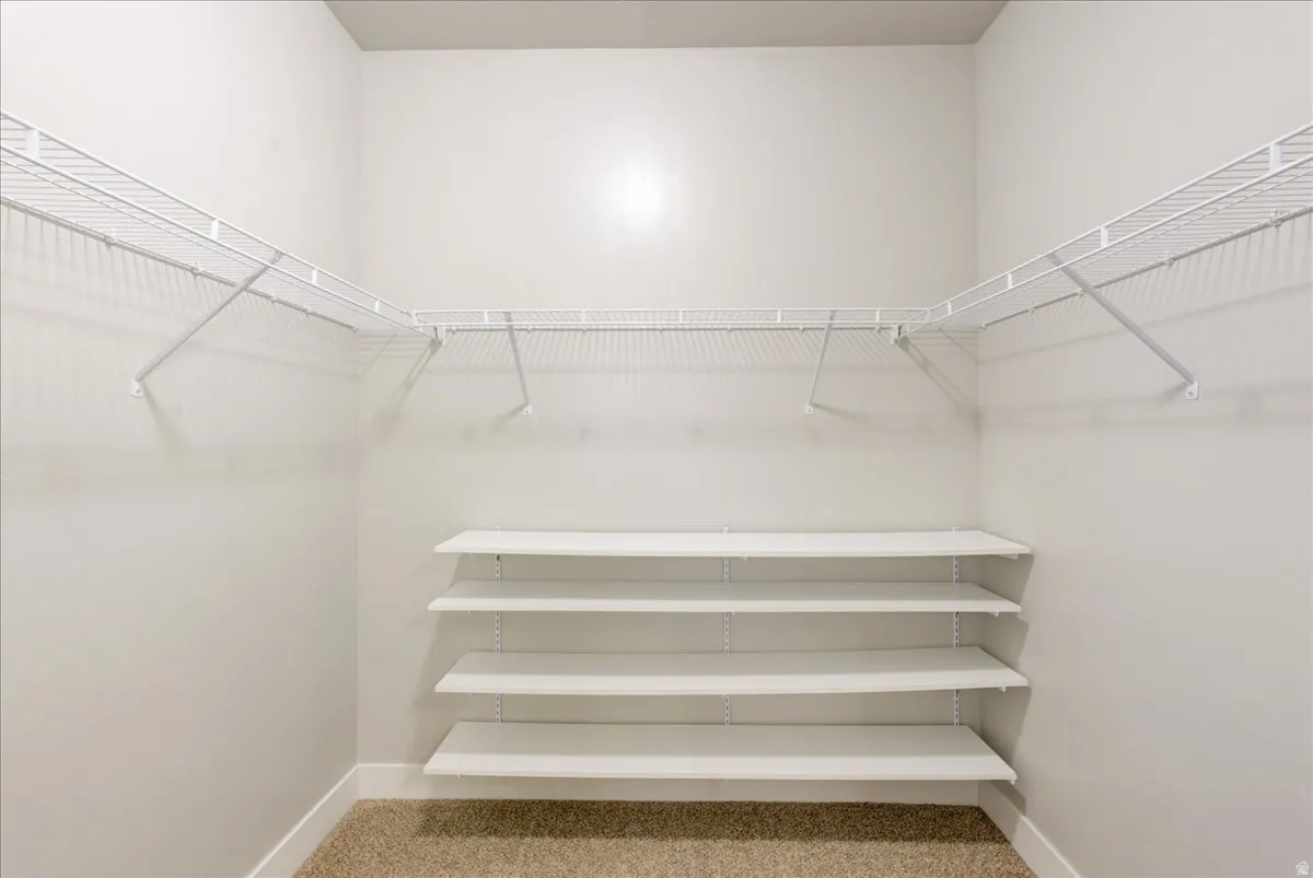 Walk in closet with light colored carpet