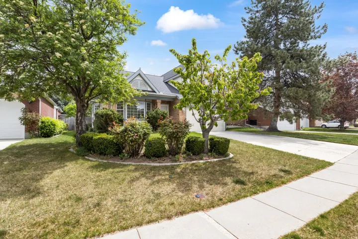 Obstructed view of property with driveway, a front yard, and brick siding