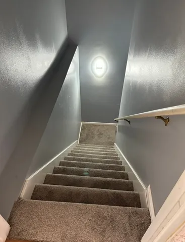 Stairs with carpet and baseboards