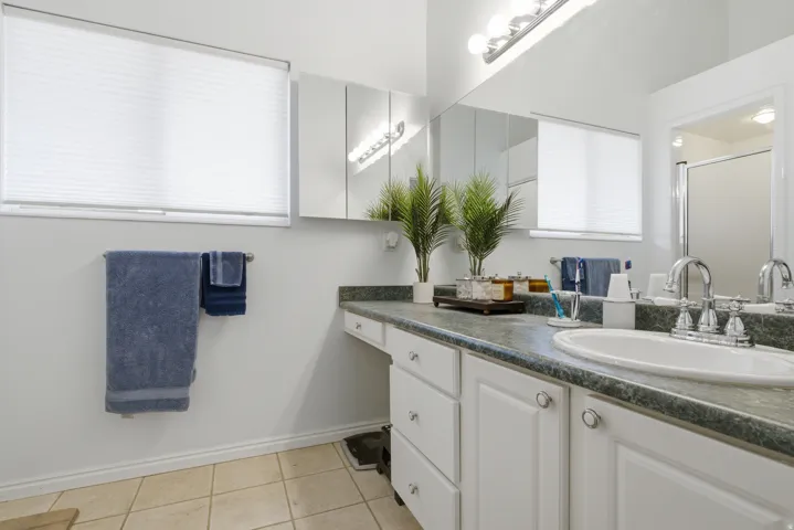 Primary bathroom