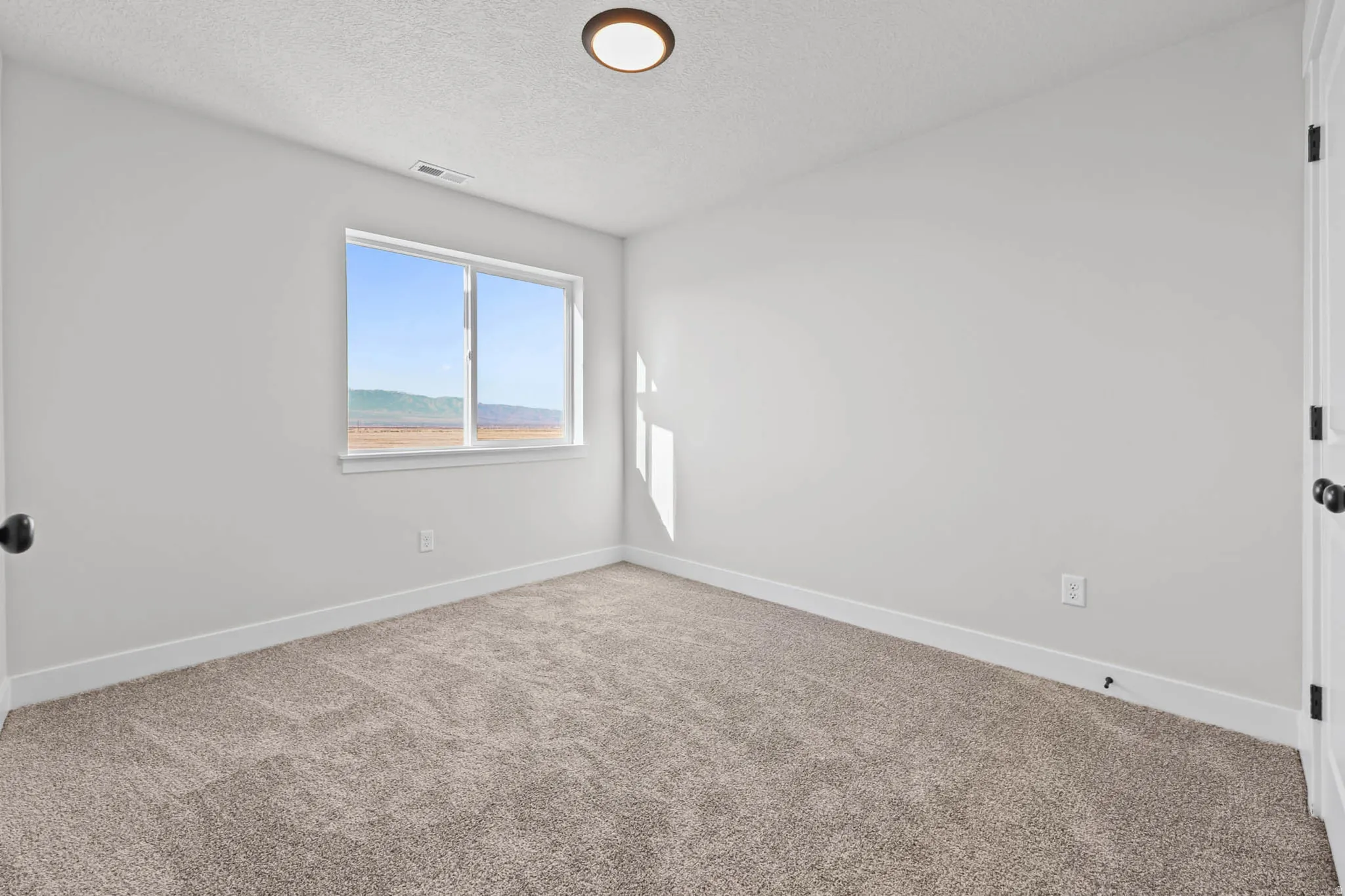 Unfurnished room featuring carpet flooring and a textured ceiling