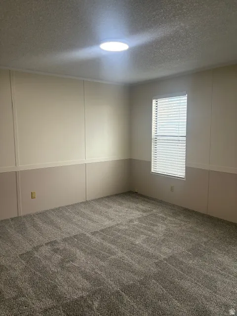 Unfurnished room featuring a decorative wall, a textured ceiling, and carpet