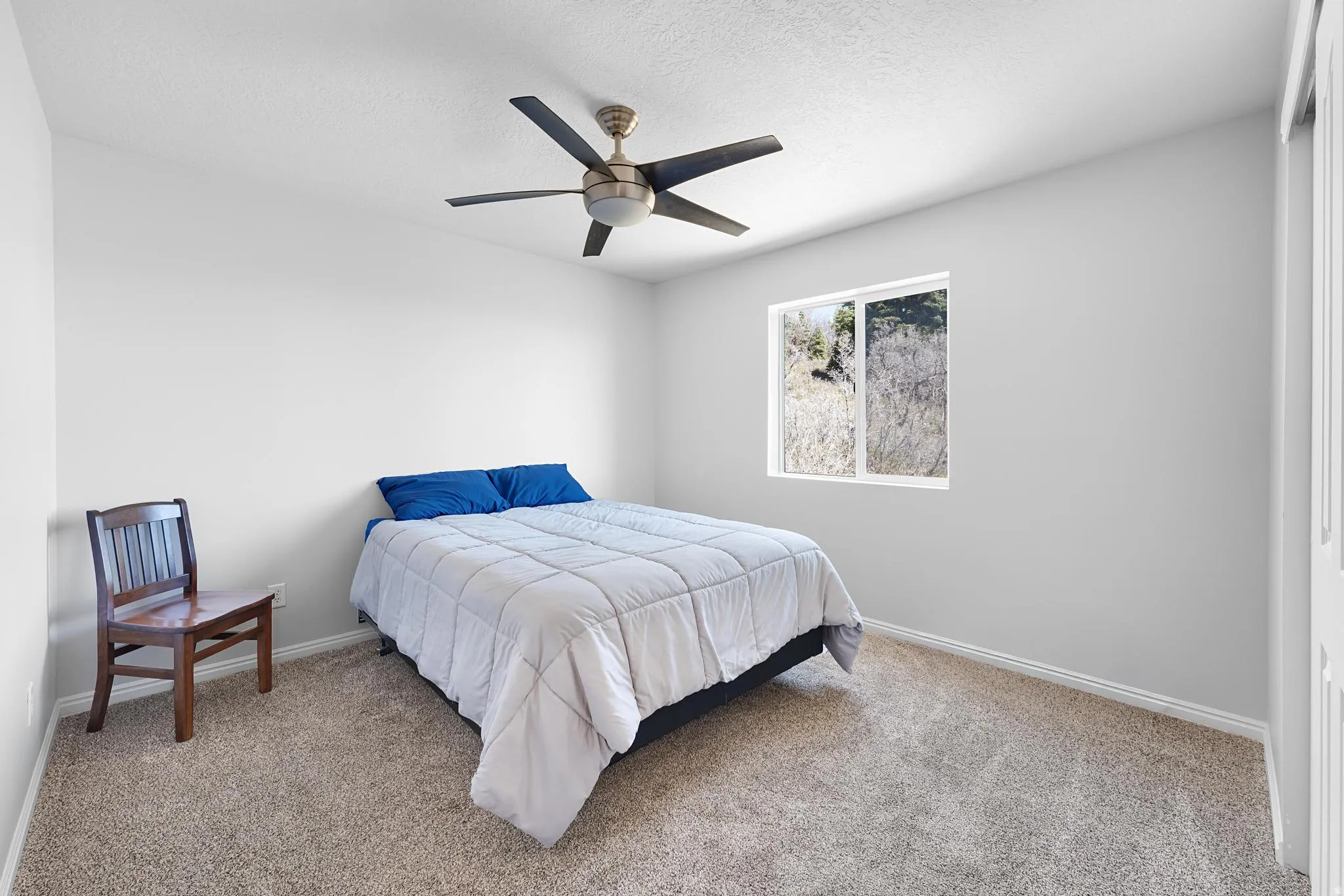 Bright room featuring light-toned walls, neutral carpet flooring, and a contemporary ceiling fan