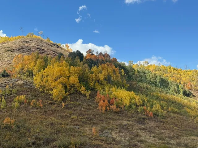 5762 Aspen Way, Huntsville, Utah 84317