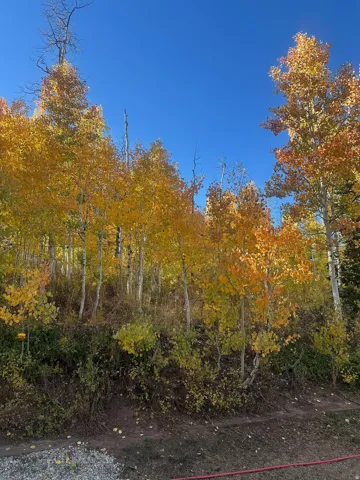 5762 Aspen Way, Huntsville, Utah 84317
