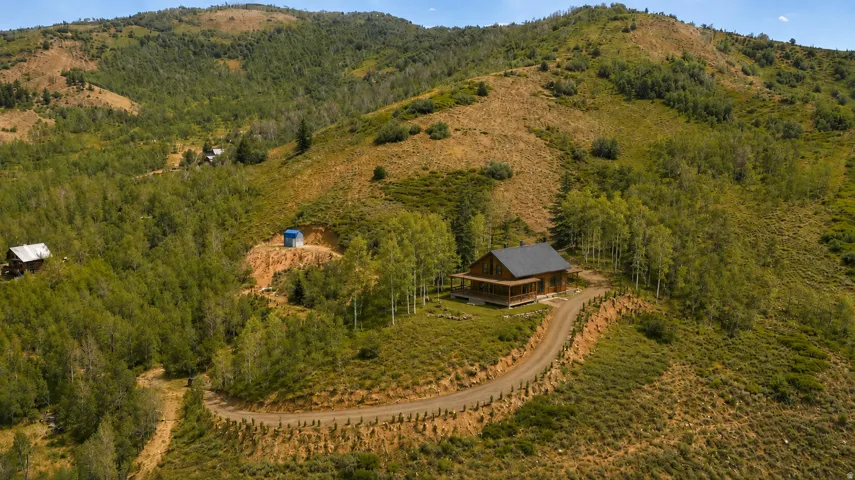 What it would look like with a cabin, grass and trees (ai generated).
