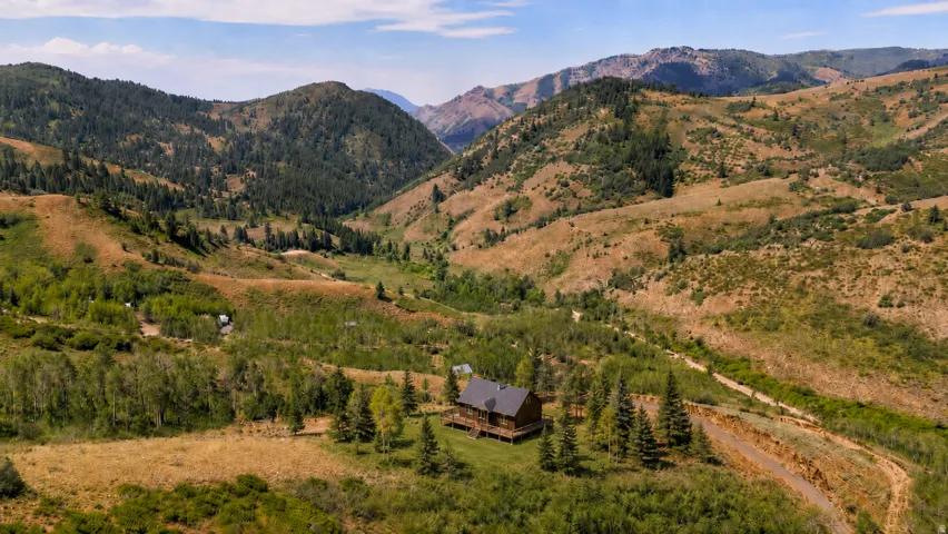 What it would look like with a cabin, grass and trees (ai generated).