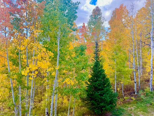 5762 Aspen Way, Huntsville, Utah 84317