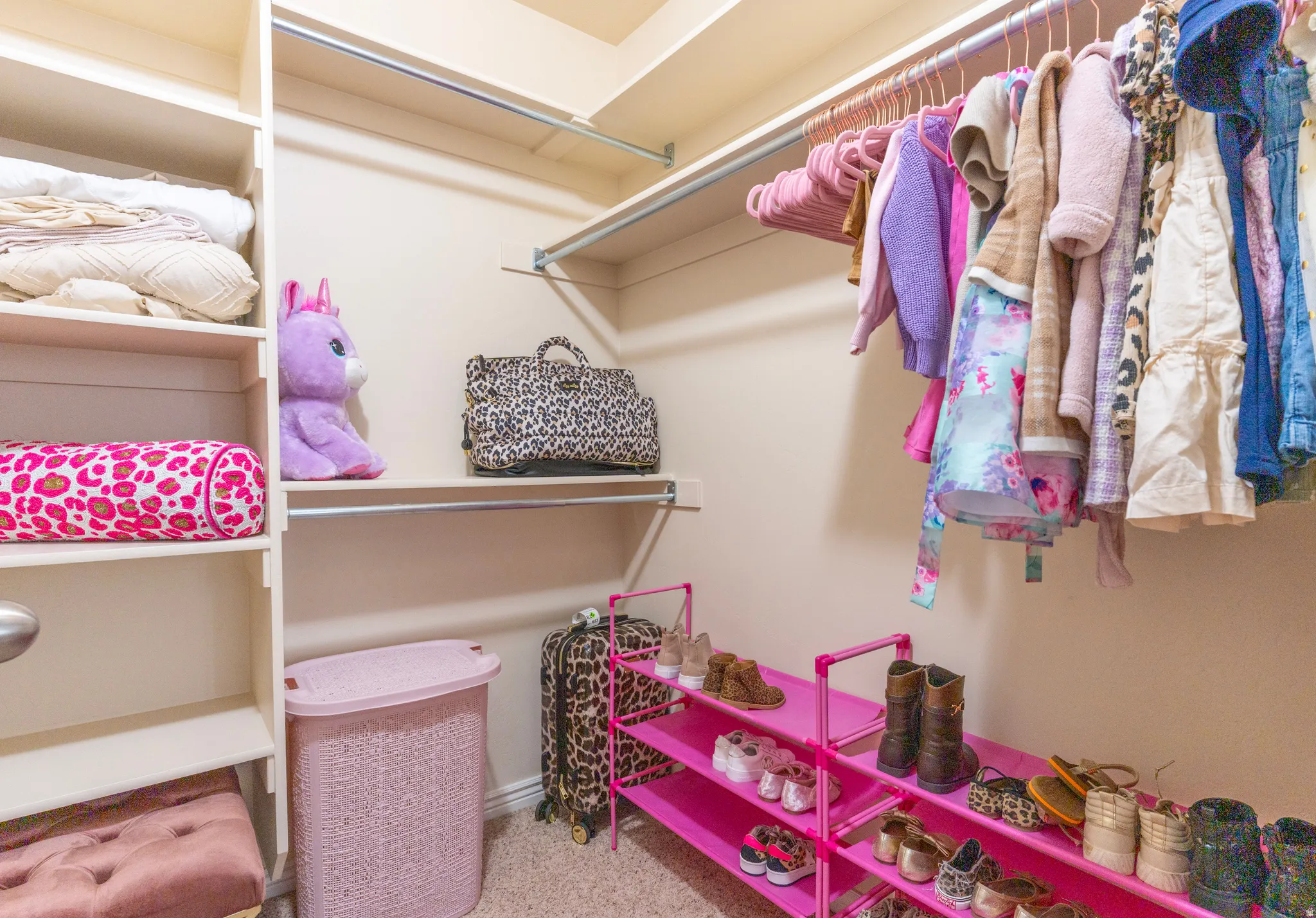 Walk in closet with light colored carpet
