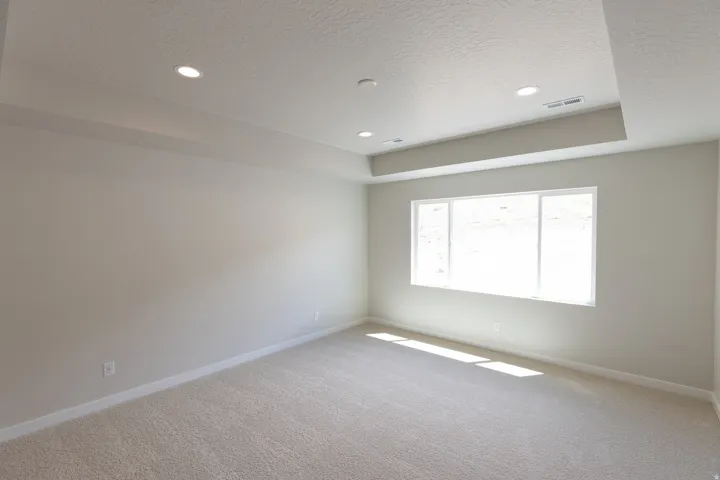 Master Bedroom with Tray Ceiling